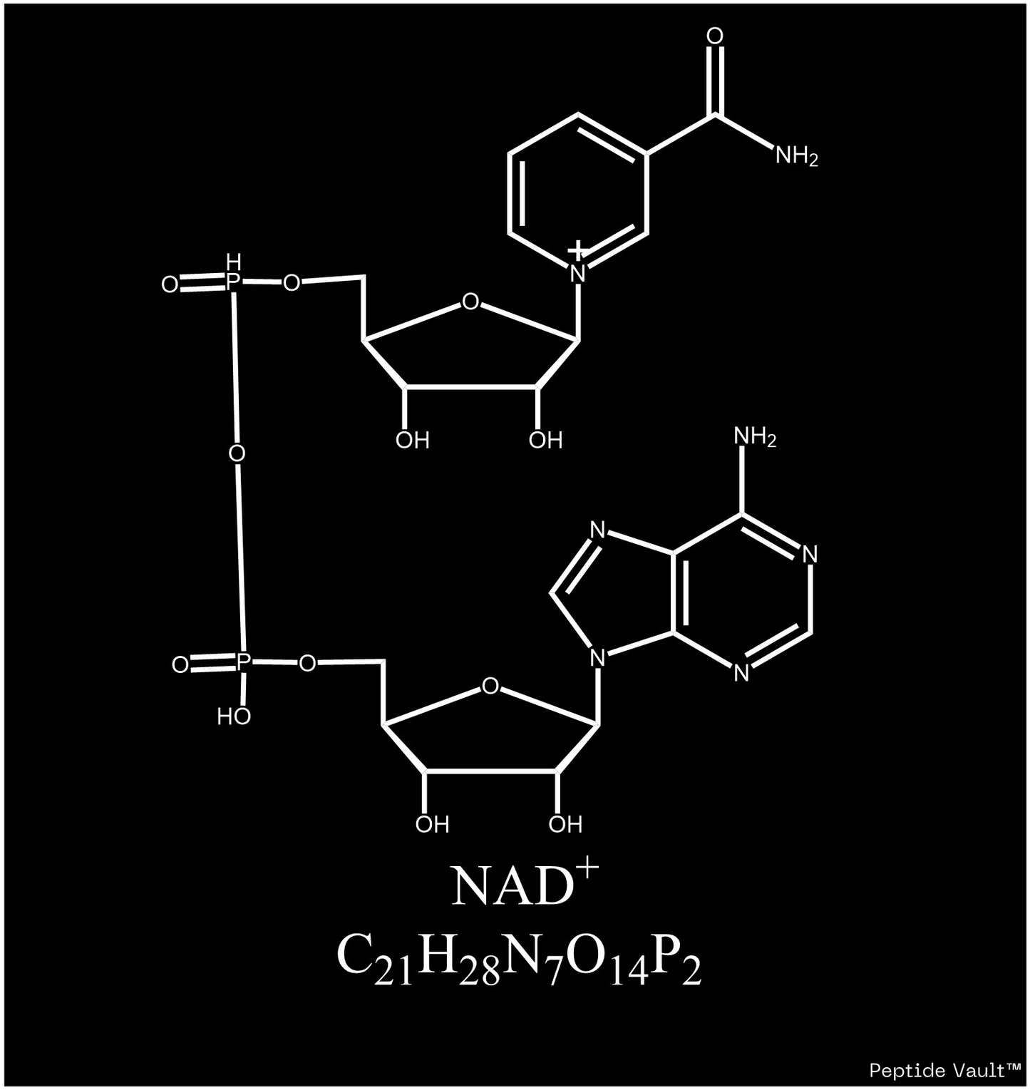 NAD+ Peptide Sticker